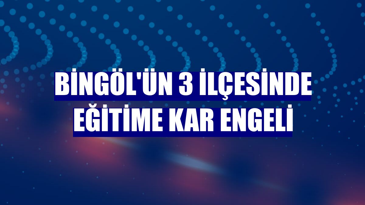 Bingöl'ün 3 ilçesinde eğitime kar engeli