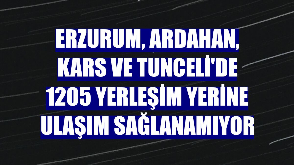 Erzurum, Ardahan, Kars ve Tunceli'de 1205 yerleşim yerine ulaşım sağlanamıyor