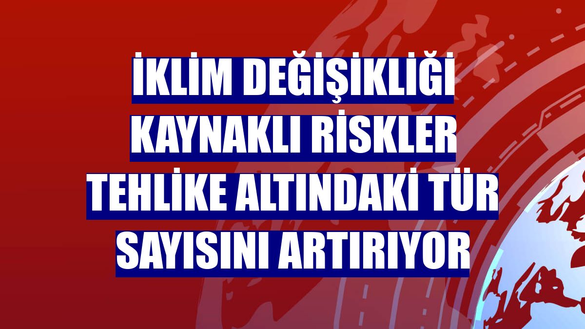 İklim değişikliği kaynaklı riskler tehlike altındaki tür sayısını artırıyor