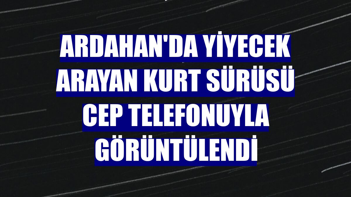 Ardahan'da yiyecek arayan kurt sürüsü cep telefonuyla görüntülendi