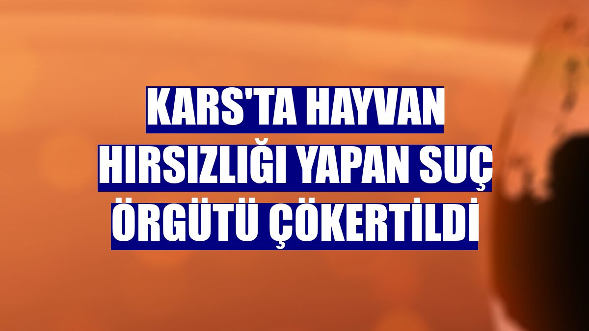 Kars'ta hayvan hırsızlığı yapan suç örgütü çökertildi