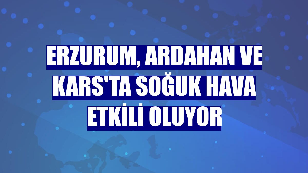 Erzurum, Ardahan ve Kars'ta soğuk hava etkili oluyor