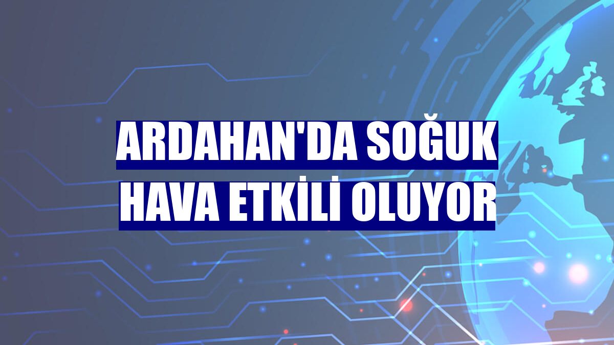 Ardahan'da soğuk hava etkili oluyor