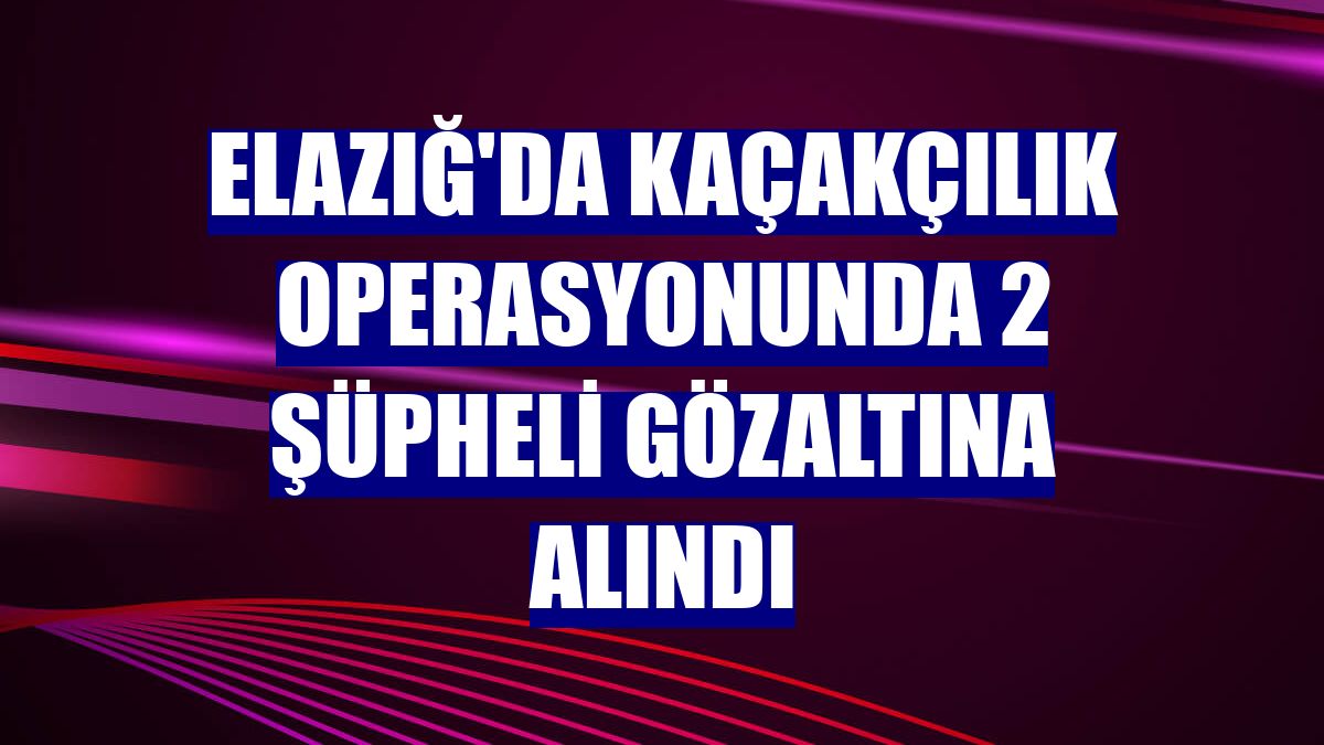 Elazığ'da kaçakçılık operasyonunda 2 şüpheli gözaltına alındı