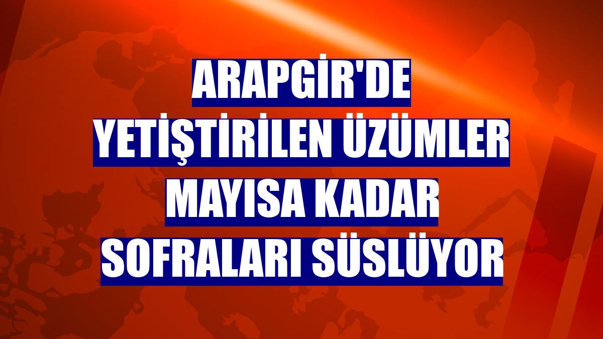 Arapgir'de yetiştirilen üzümler mayısa kadar sofraları süslüyor