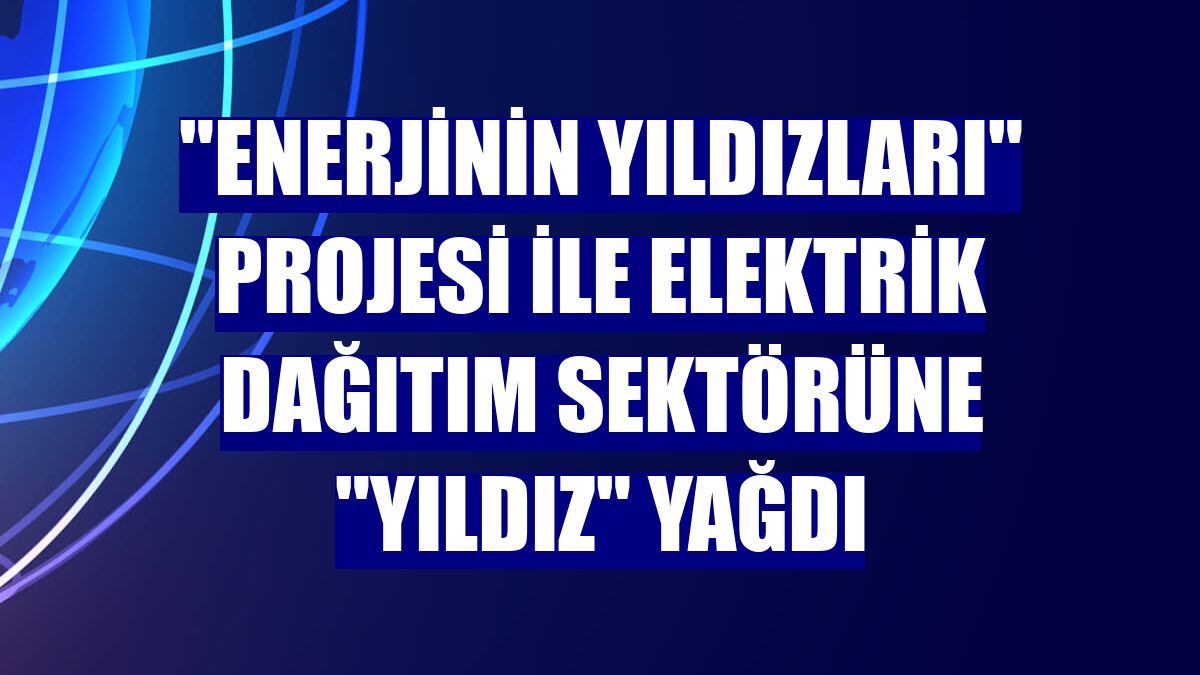 "Enerjinin Yıldızları" projesi ile elektrik dağıtım sektörüne "yıldız" yağdı