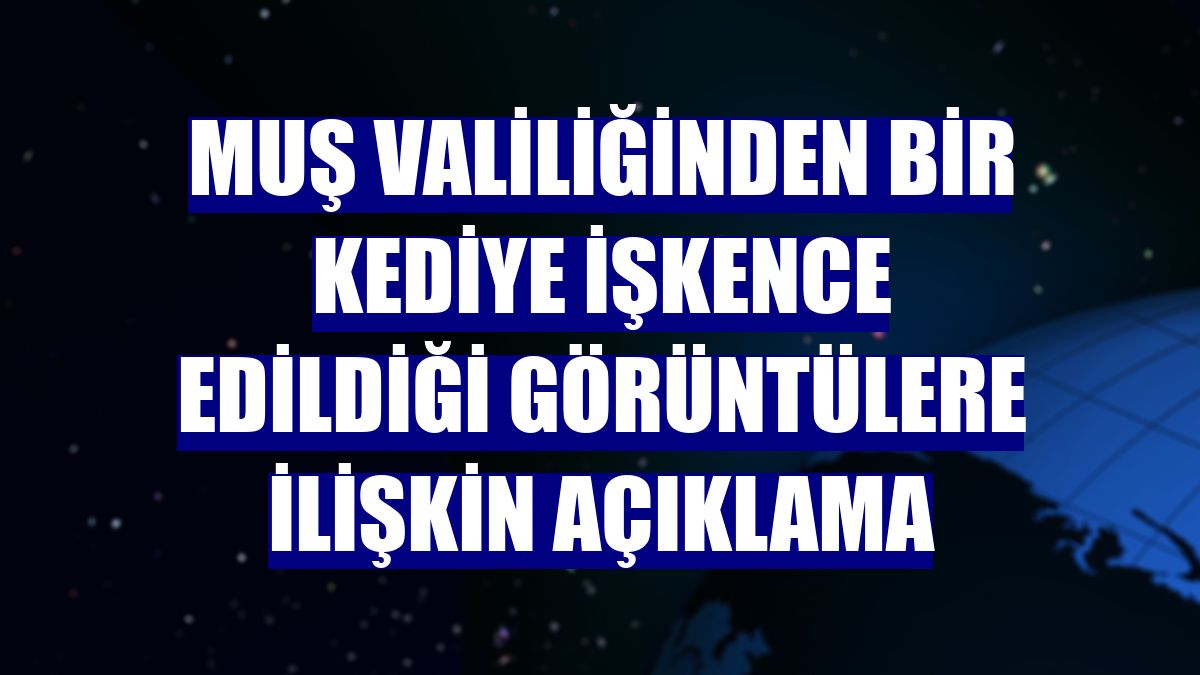 Muş Valiliğinden bir kediye işkence edildiği görüntülere ilişkin açıklama