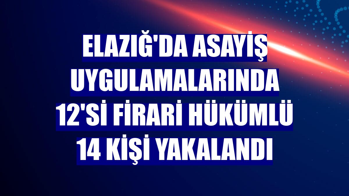 Elazığ'da asayiş uygulamalarında 12'si firari hükümlü 14 kişi yakalandı