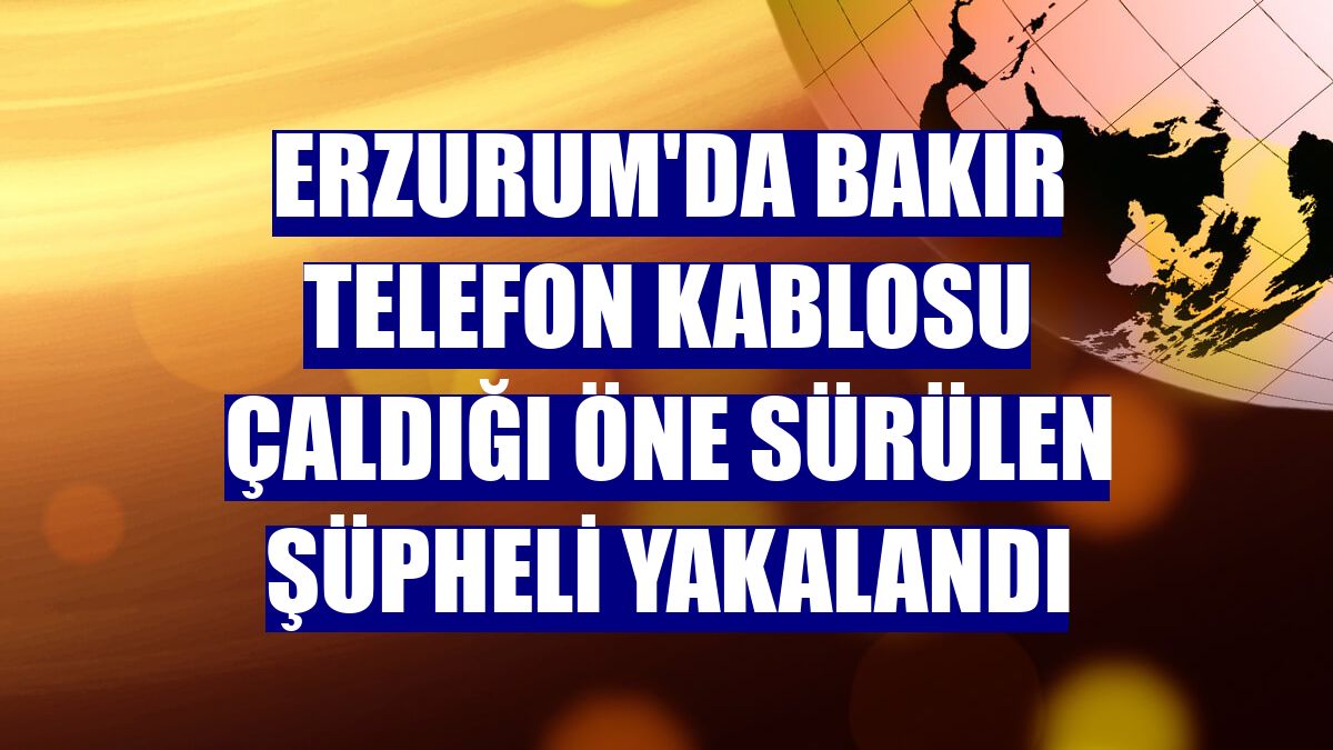 Erzurum'da bakır telefon kablosu çaldığı öne sürülen şüpheli yakalandı