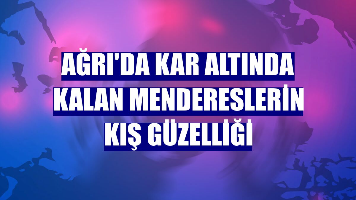 Ağrı'da kar altında kalan mendereslerin kış güzelliği