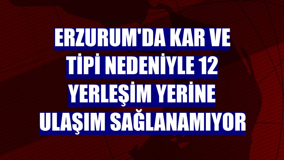 Erzurum'da kar ve tipi nedeniyle 12 yerleşim yerine ulaşım sağlanamıyor