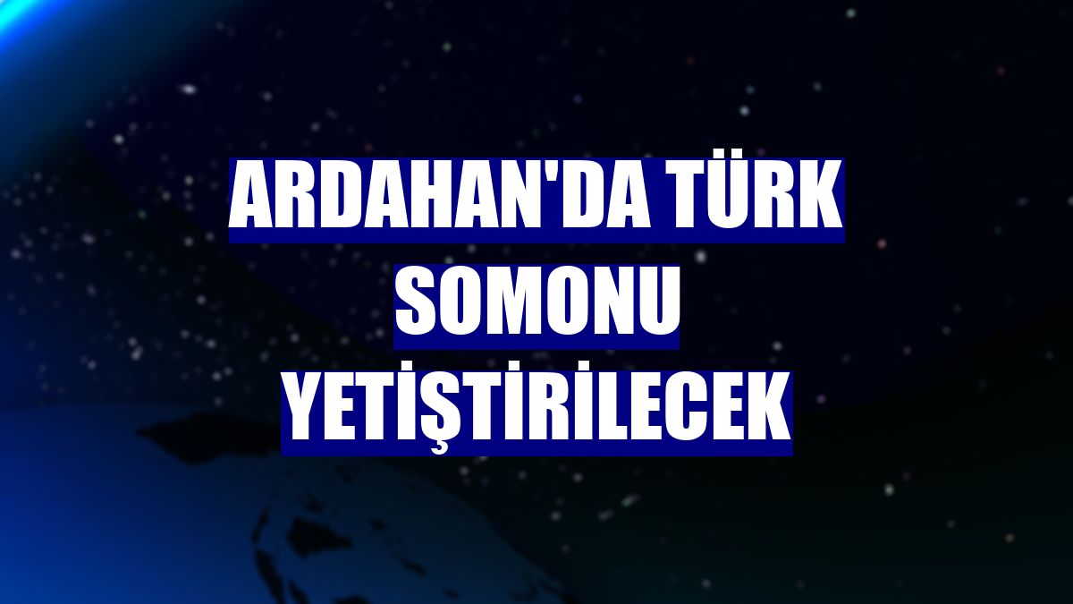 Ardahan'da Türk somonu yetiştirilecek