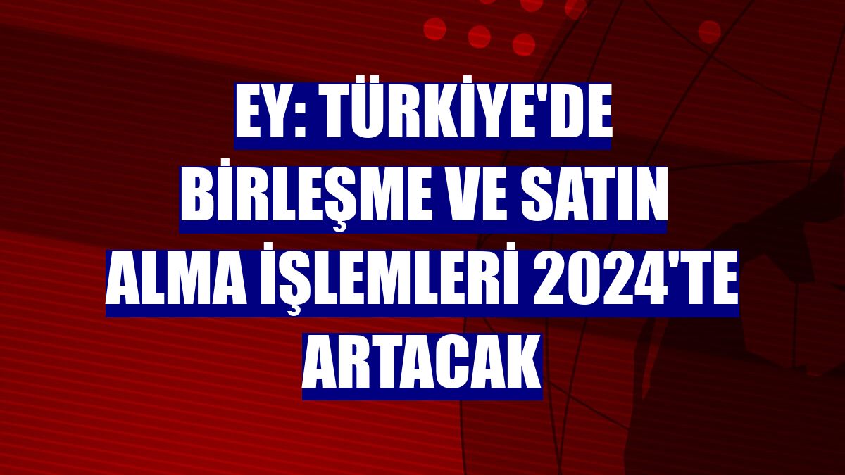 EY: Türkiye'de birleşme ve satın alma işlemleri 2024'te artacak