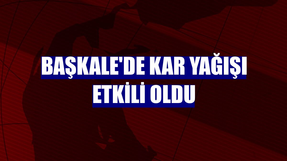 Başkale'de kar yağışı etkili oldu