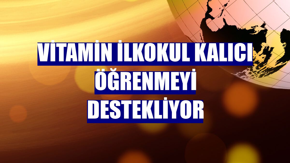 Vitamin İlkokul kalıcı öğrenmeyi destekliyor