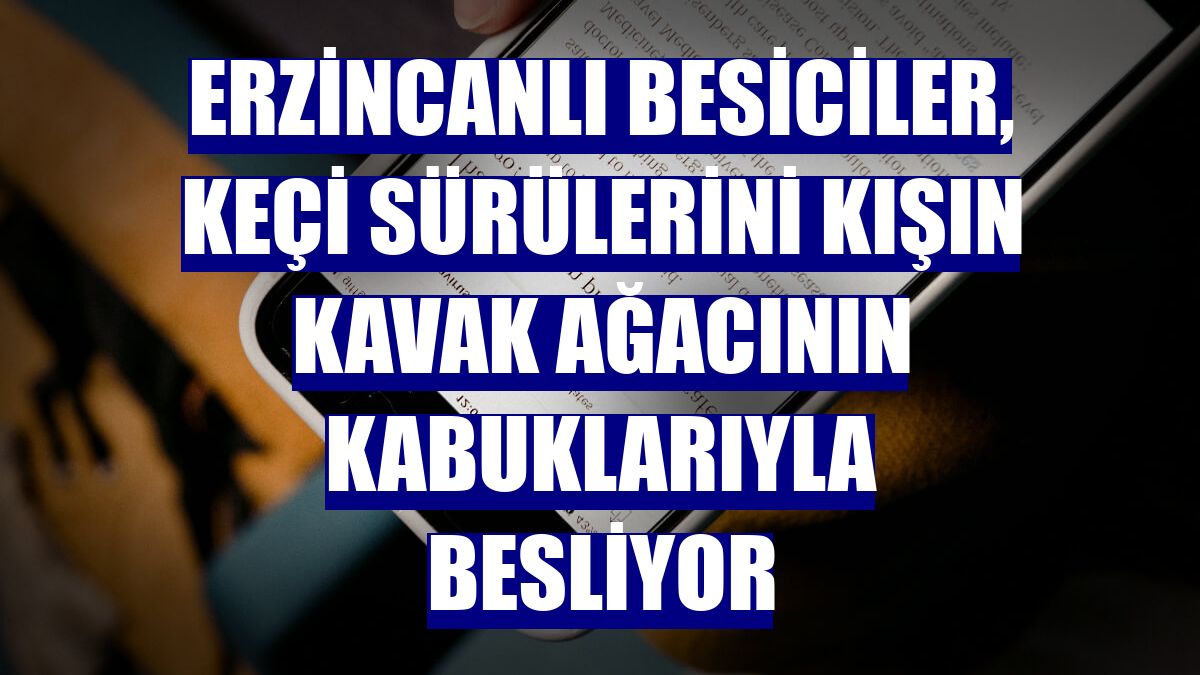 Erzincanlı besiciler, keçi sürülerini kışın kavak ağacının kabuklarıyla besliyor