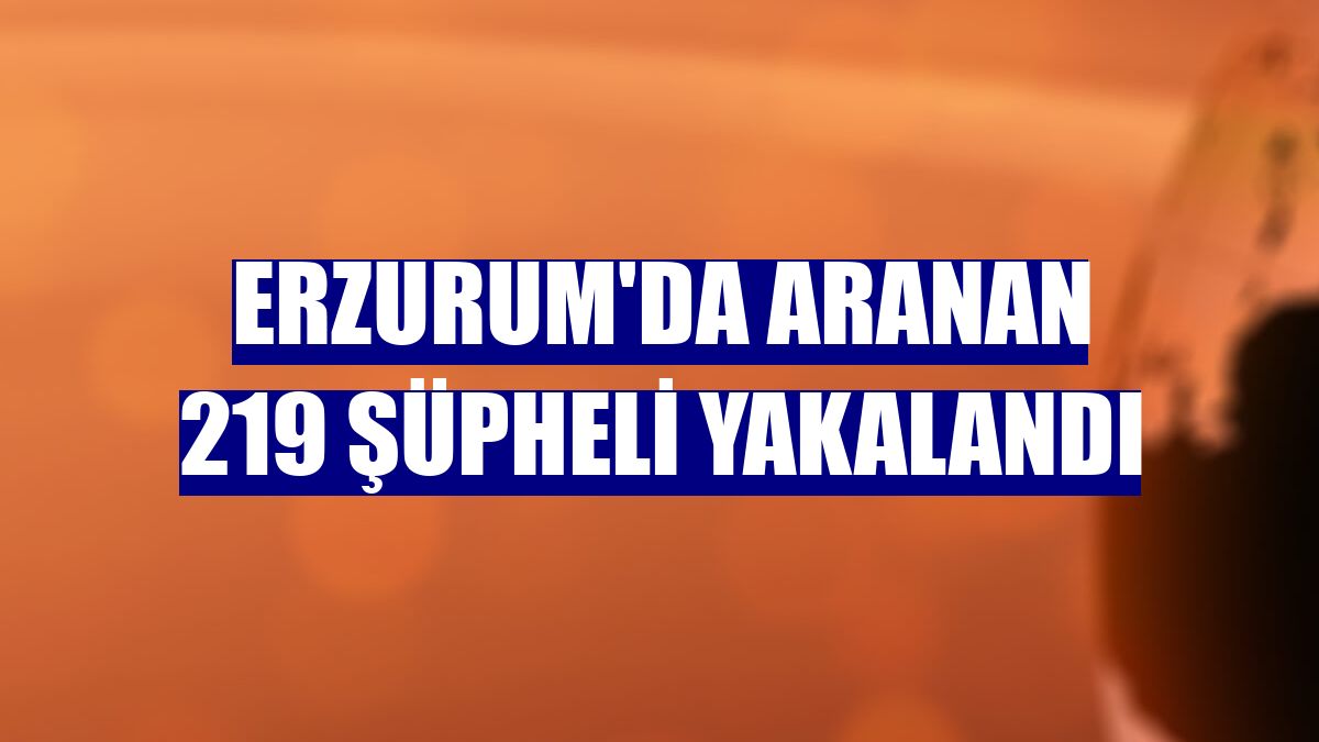 Erzurum'da aranan 219 şüpheli yakalandı