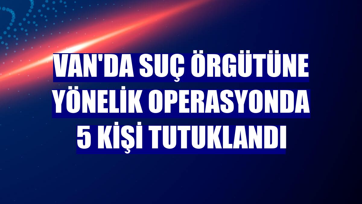 Van'da suç örgütüne yönelik operasyonda 5 kişi tutuklandı