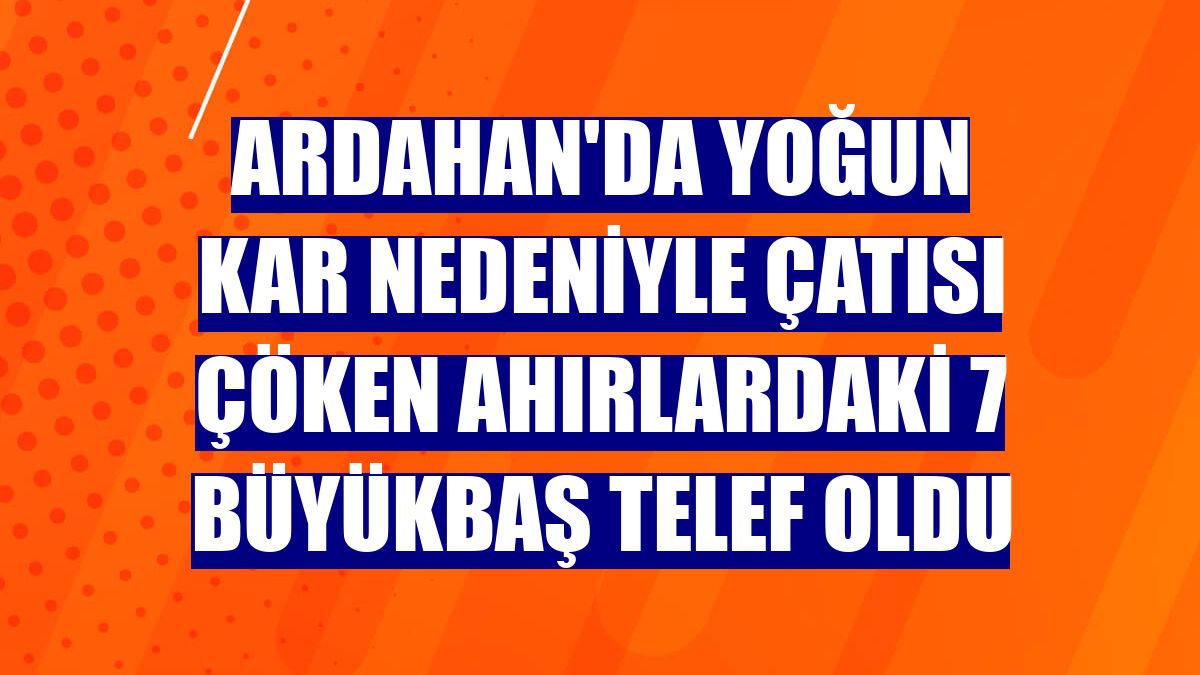 Ardahan'da yoğun kar nedeniyle çatısı çöken ahırlardaki 7 büyükbaş telef oldu