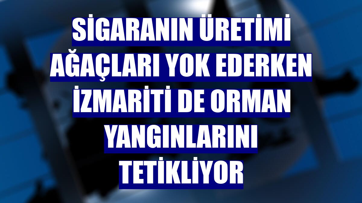 Sigaranın üretimi ağaçları yok ederken izmariti de orman yangınlarını tetikliyor