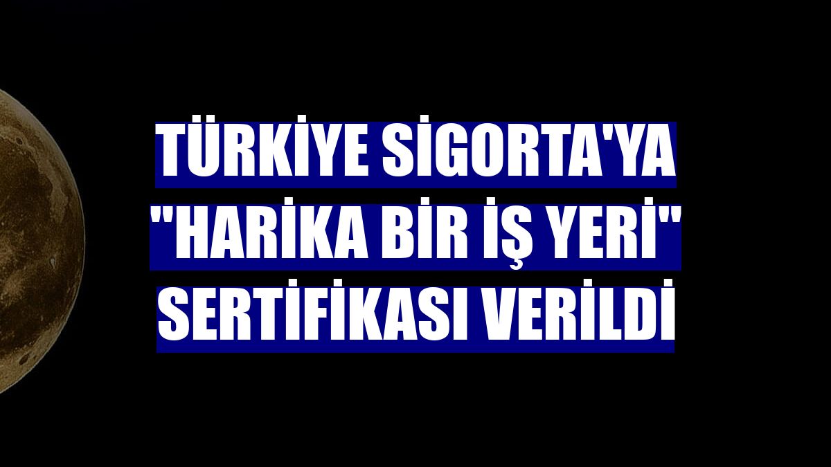 Türkiye Sigorta'ya "Harika Bir İş Yeri" sertifikası verildi