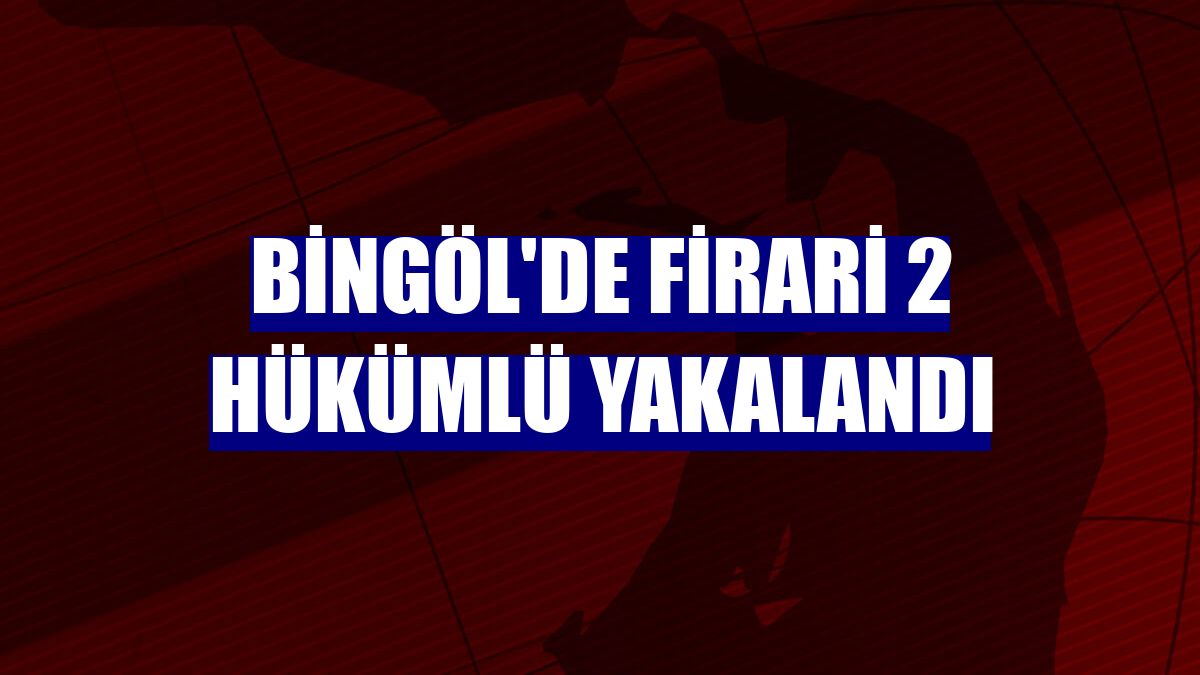 Bingöl'de firari 2 hükümlü yakalandı