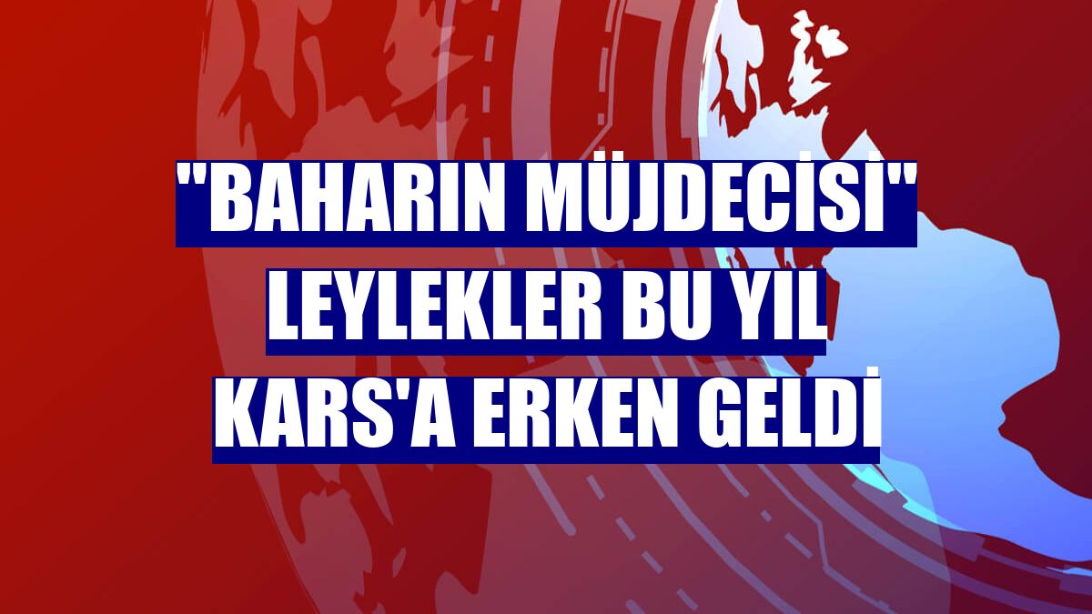 "Baharın müjdecisi" leylekler bu yıl Kars'a erken geldi
