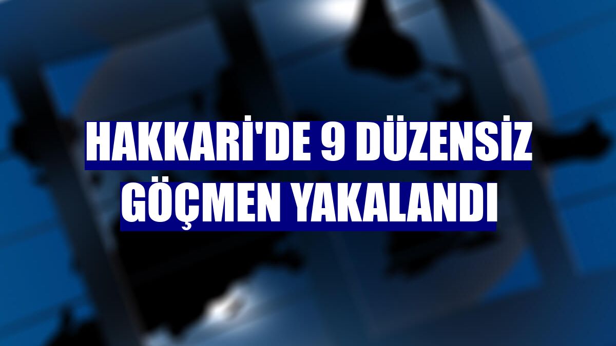 Hakkari'de 9 düzensiz göçmen yakalandı