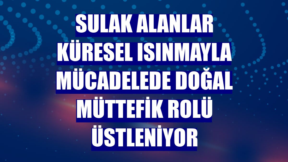 Sulak alanlar küresel ısınmayla mücadelede doğal müttefik rolü üstleniyor