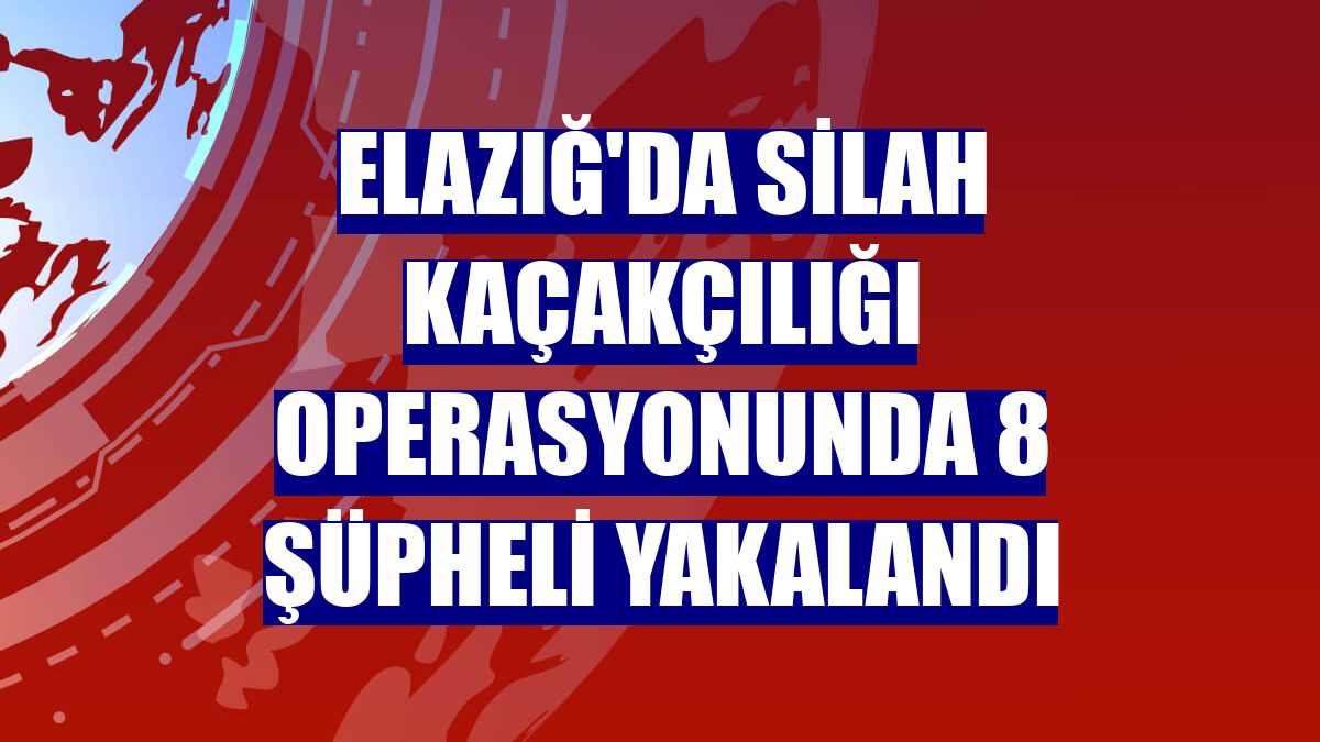 Elazığ'da silah kaçakçılığı operasyonunda 8 şüpheli yakalandı