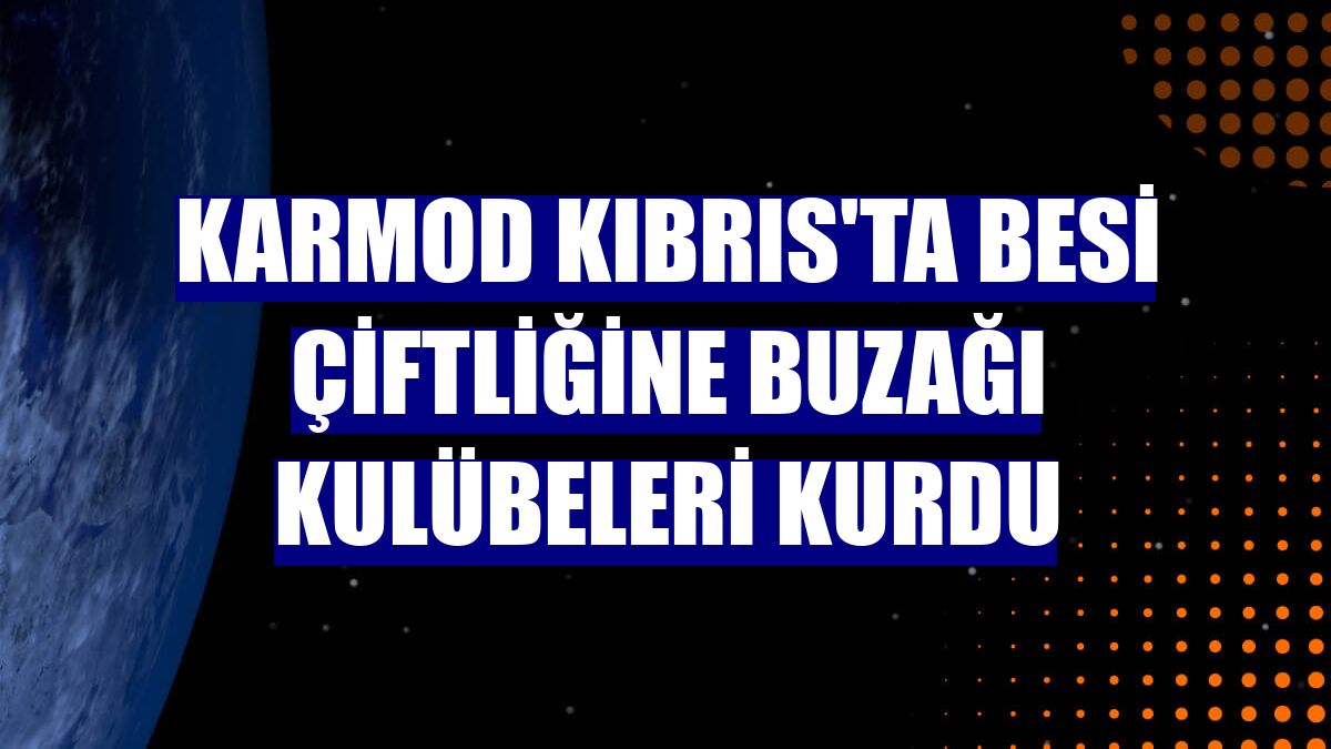 Karmod Kıbrıs'ta besi çiftliğine buzağı kulübeleri kurdu