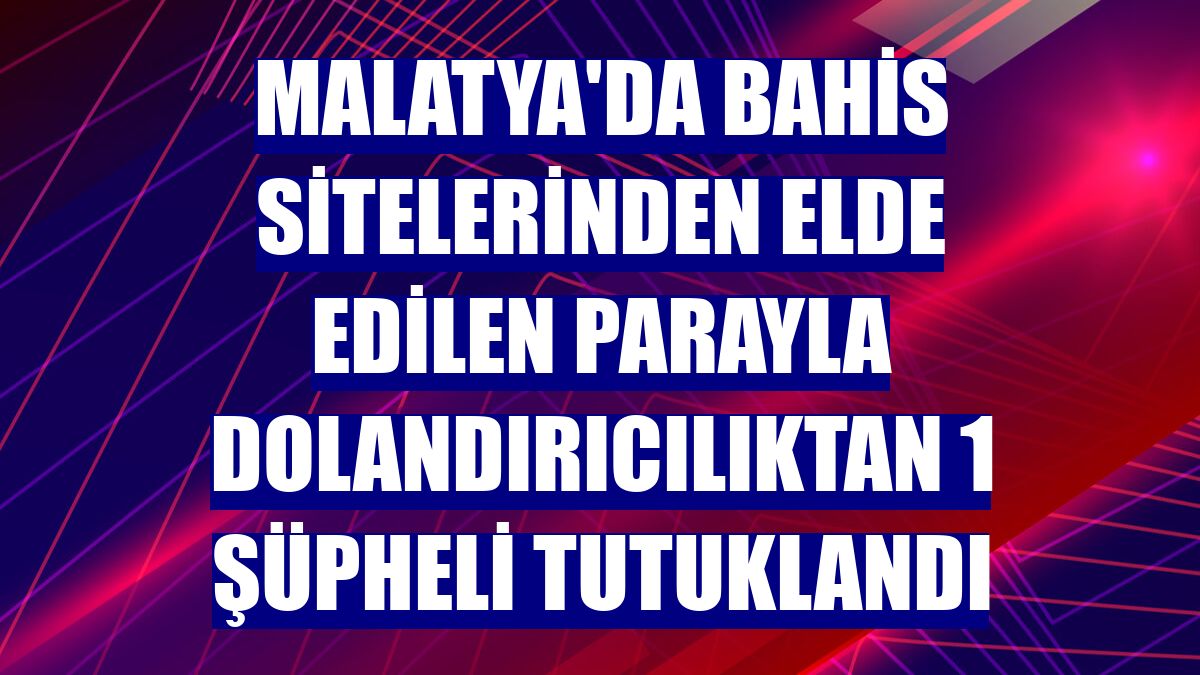 Malatya'da bahis sitelerinden elde edilen parayla dolandırıcılıktan 1 şüpheli tutuklandı