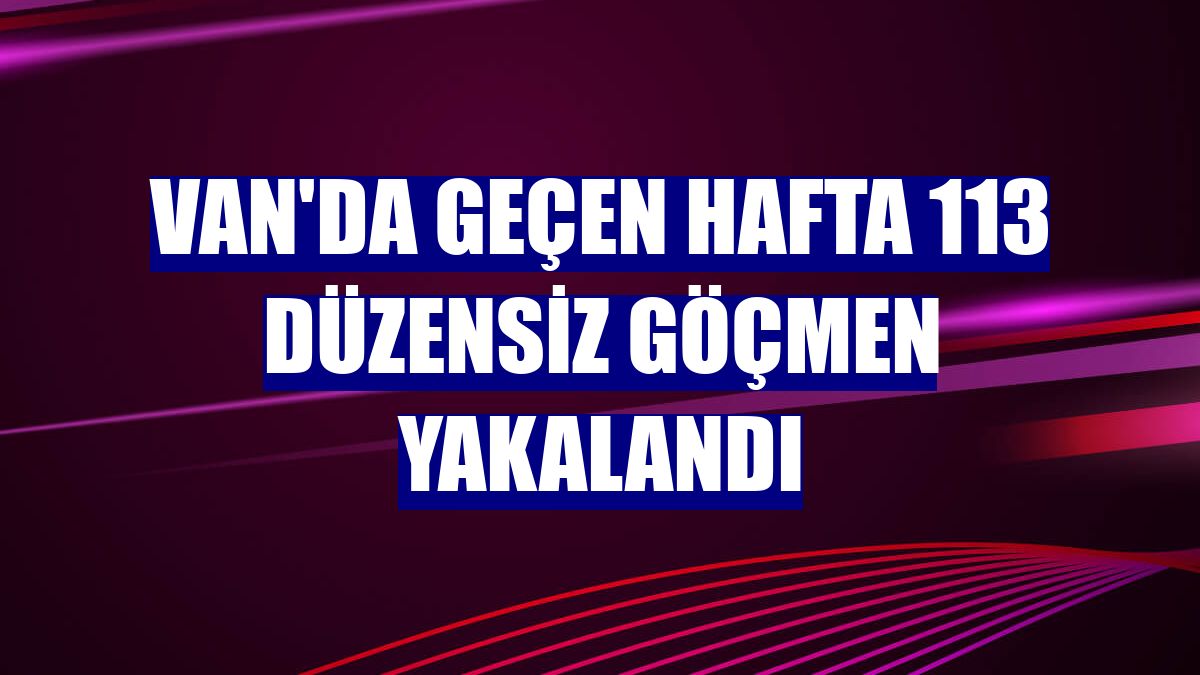 Van'da geçen hafta 113 düzensiz göçmen yakalandı