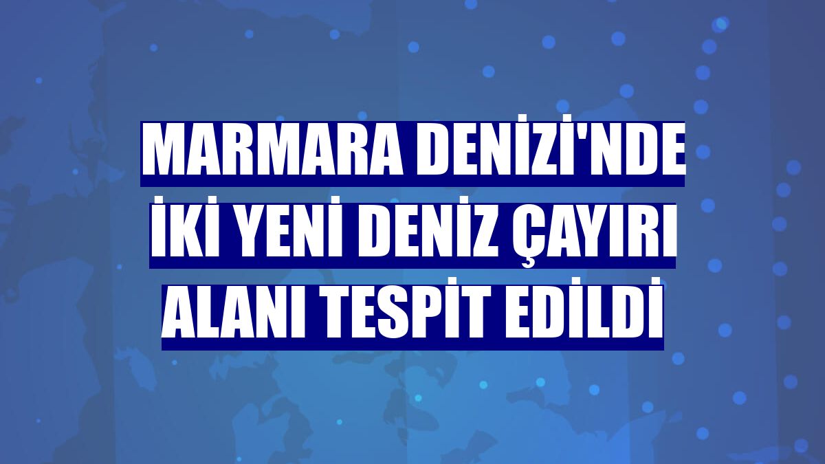 Marmara Denizi'nde iki yeni deniz çayırı alanı tespit edildi