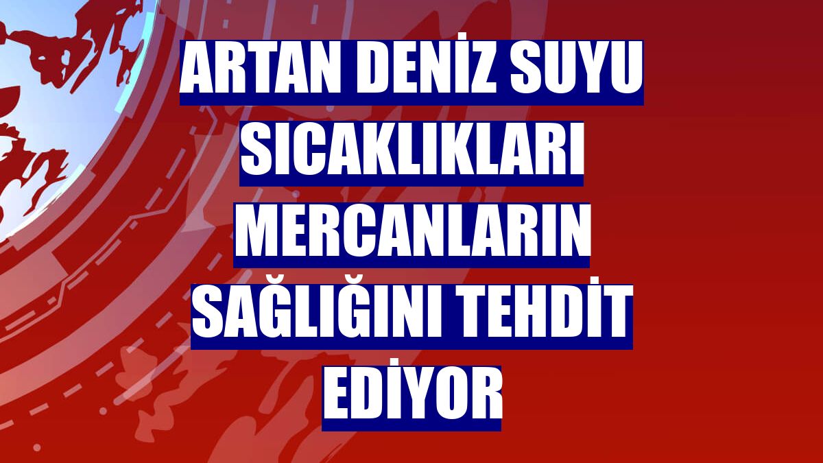 Artan deniz suyu sıcaklıkları mercanların sağlığını tehdit ediyor
