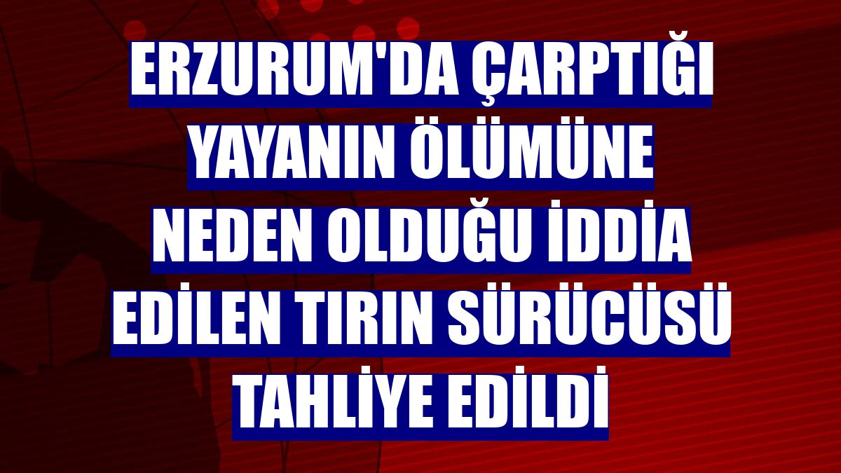 Erzurum'da çarptığı yayanın ölümüne neden olduğu iddia edilen tırın sürücüsü tahliye edildi
