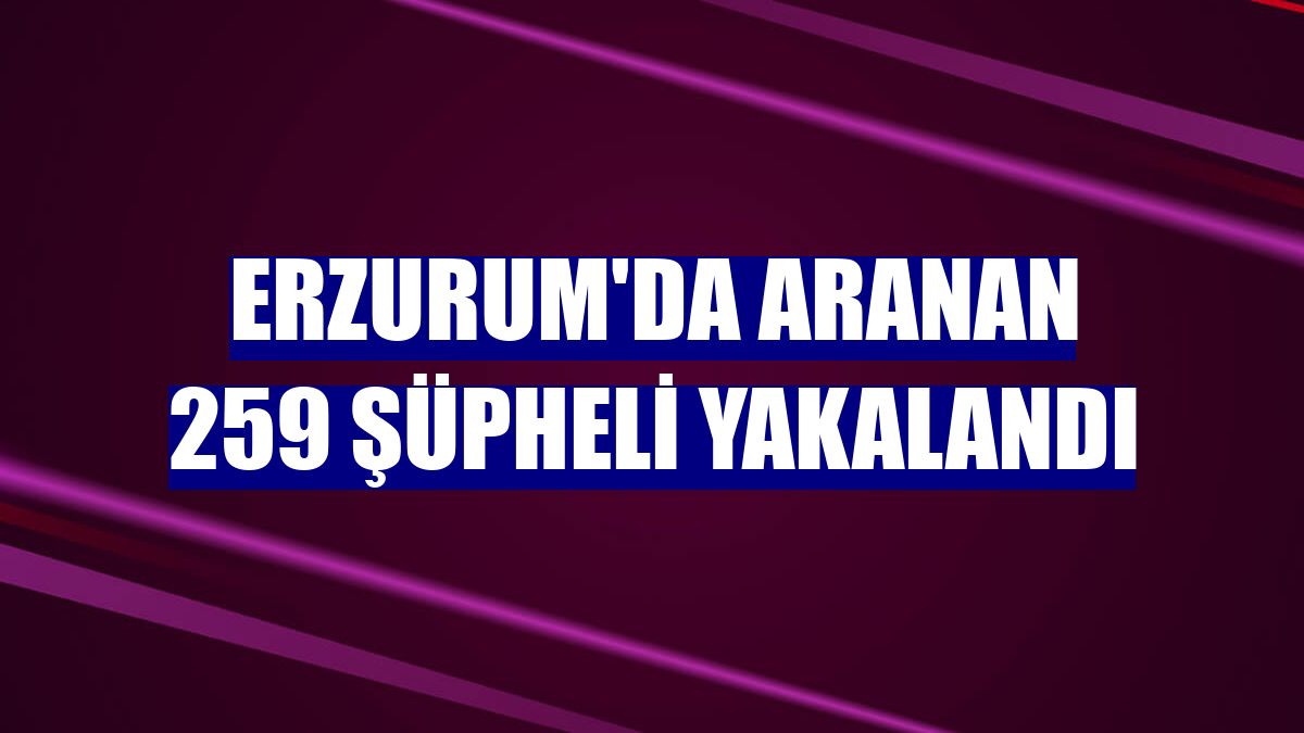Erzurum'da aranan 259 şüpheli yakalandı