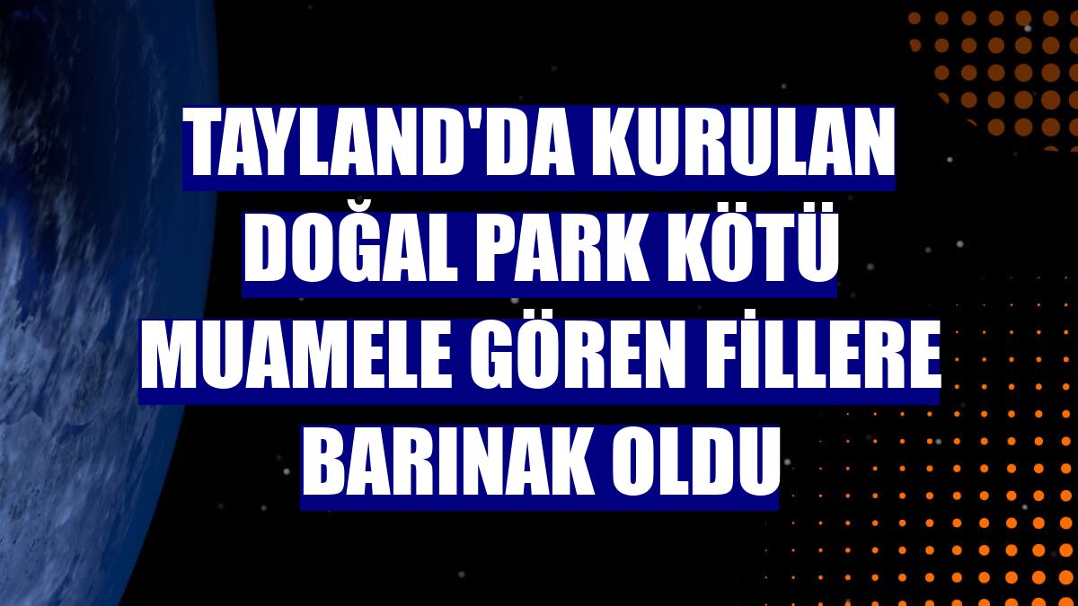 Tayland'da kurulan doğal park kötü muamele gören fillere barınak oldu