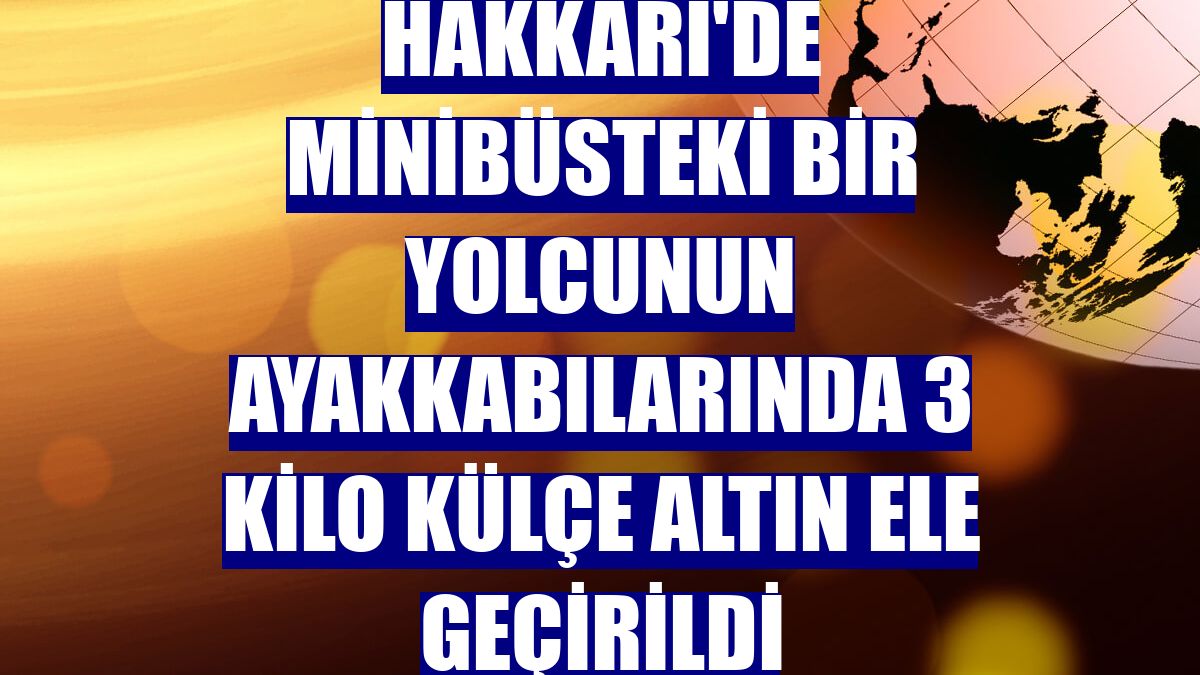 Hakkari'de minibüsteki bir yolcunun ayakkabılarında 3 kilo külçe altın ele geçirildi