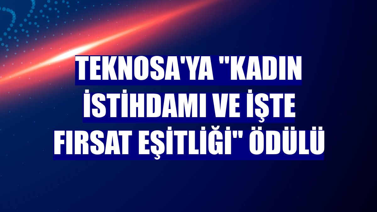 Teknosa'ya "Kadın İstihdamı ve İşte Fırsat Eşitliği" ödülü