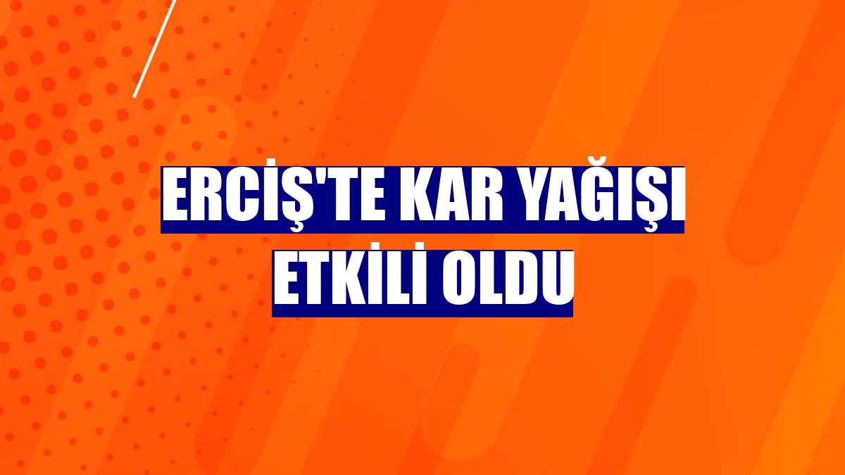 Erciş'te kar yağışı etkili oldu
