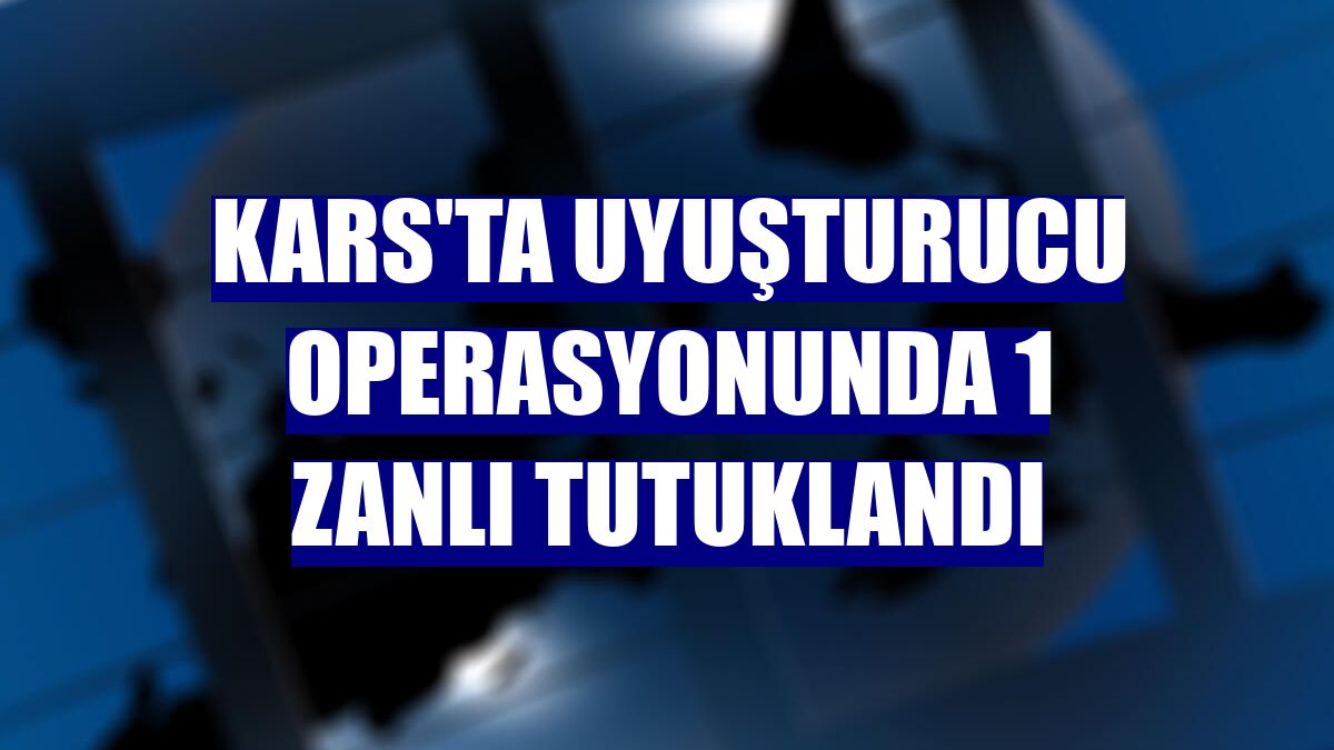 Kars'ta uyuşturucu operasyonunda 1 zanlı tutuklandı