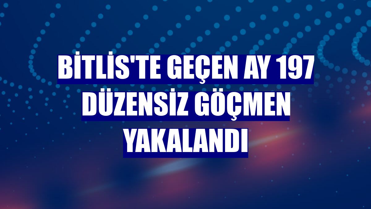 Bitlis'te geçen ay 197 düzensiz göçmen yakalandı