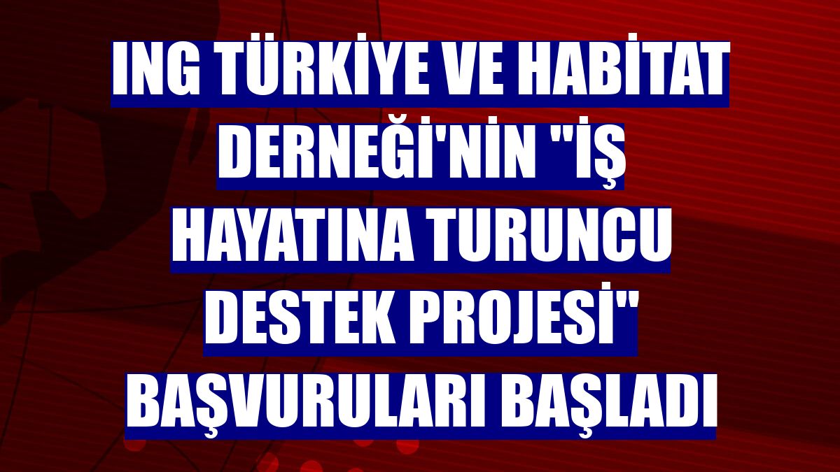 ING Türkiye ve Habitat Derneği'nin "İş Hayatına Turuncu Destek Projesi" başvuruları başladı