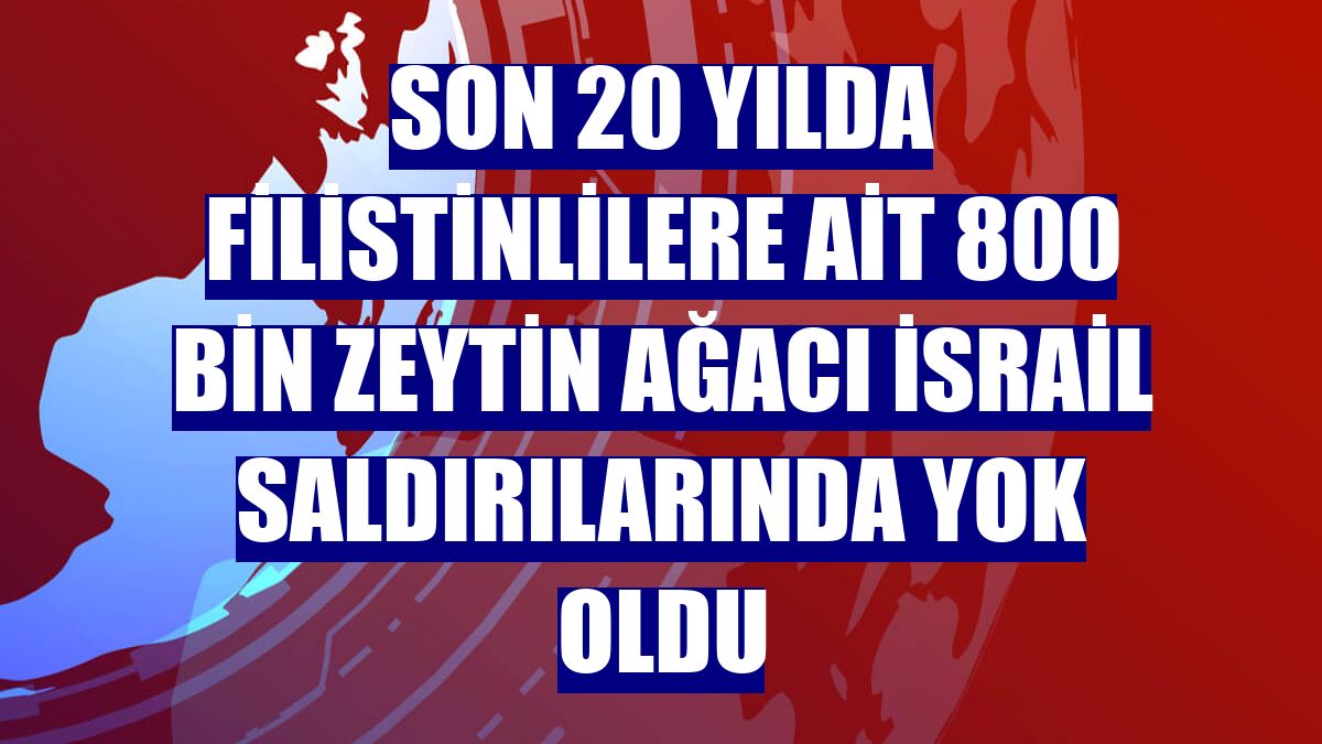 Son 20 yılda Filistinlilere ait 800 bin zeytin ağacı İsrail saldırılarında yok oldu