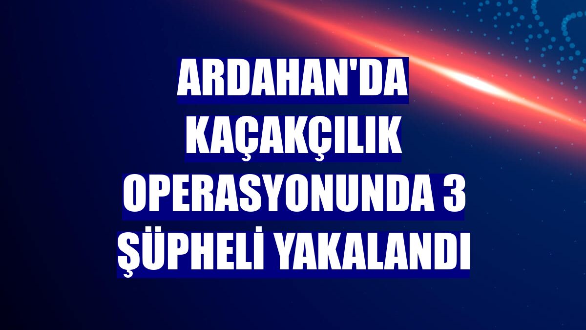 Ardahan'da kaçakçılık operasyonunda 3 şüpheli yakalandı