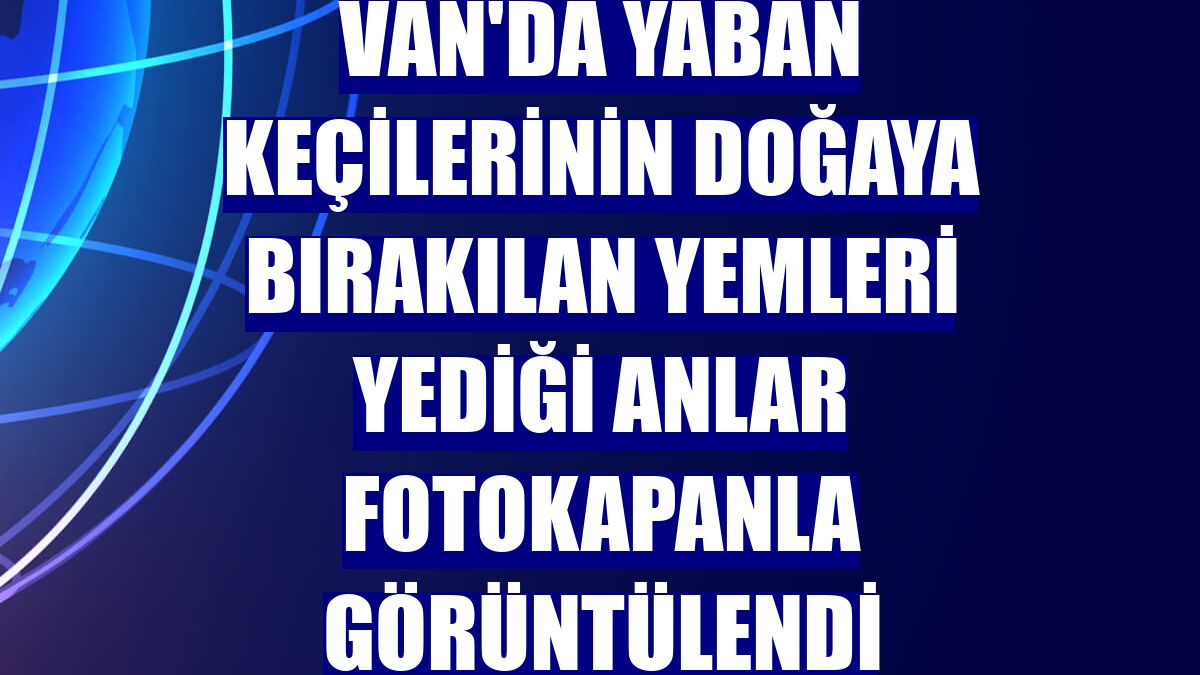 Van'da yaban keçilerinin doğaya bırakılan yemleri yediği anlar fotokapanla görüntülendi