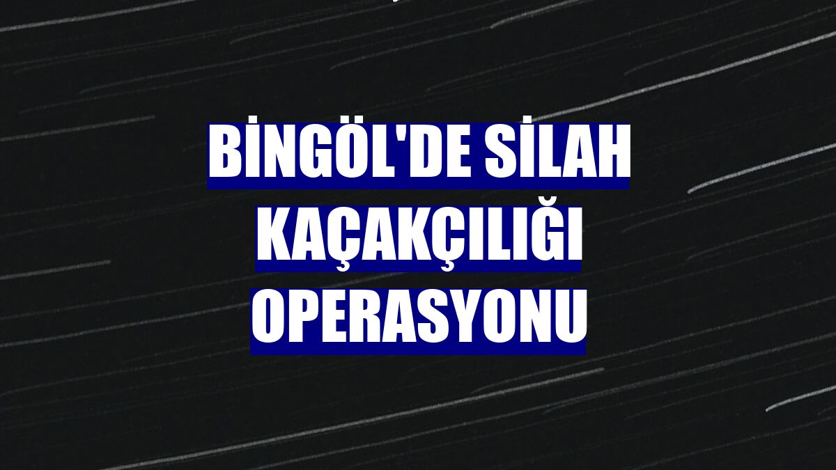Bingöl'de silah kaçakçılığı operasyonu