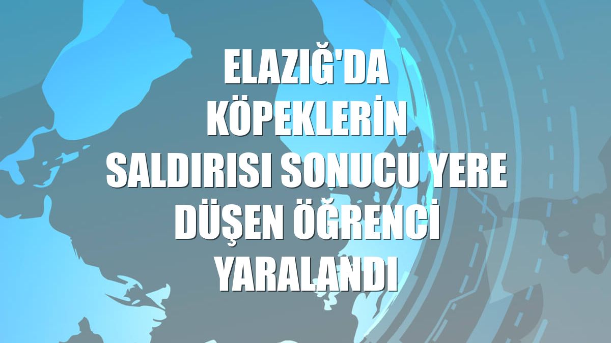 Elazığ'da köpeklerin saldırısı sonucu yere düşen öğrenci yaralandı