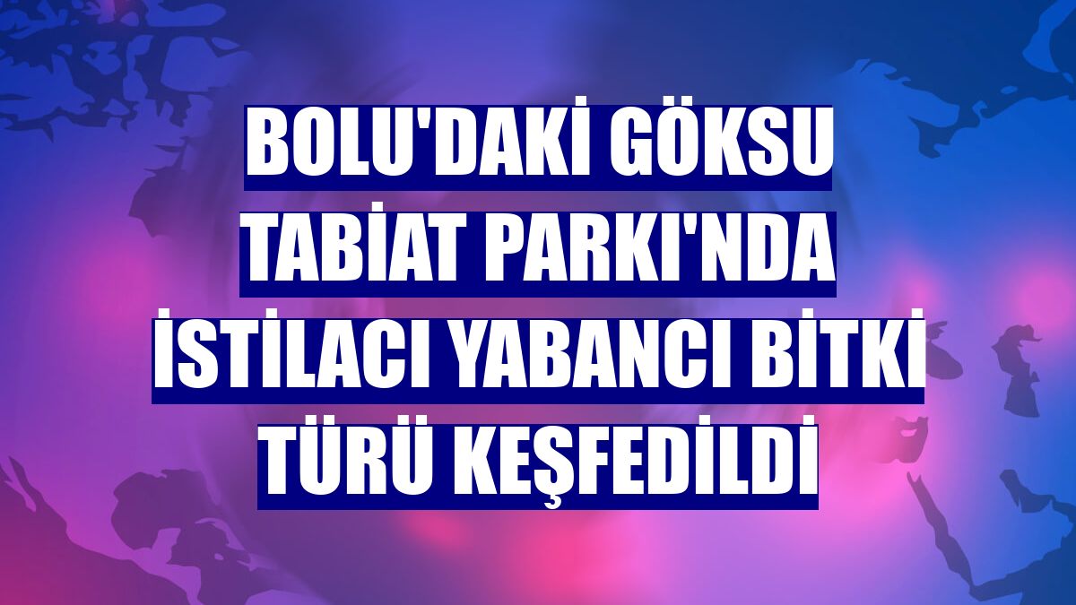 Bolu'daki Göksu Tabiat Parkı'nda istilacı yabancı bitki türü keşfedildi
